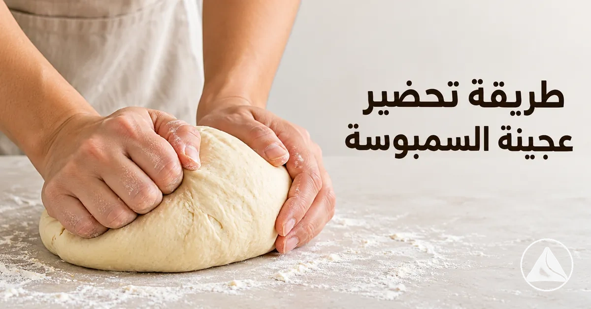 عجينة سمبوسة تُعجن حتى تصبح متماسكة وسهلة التشكيل